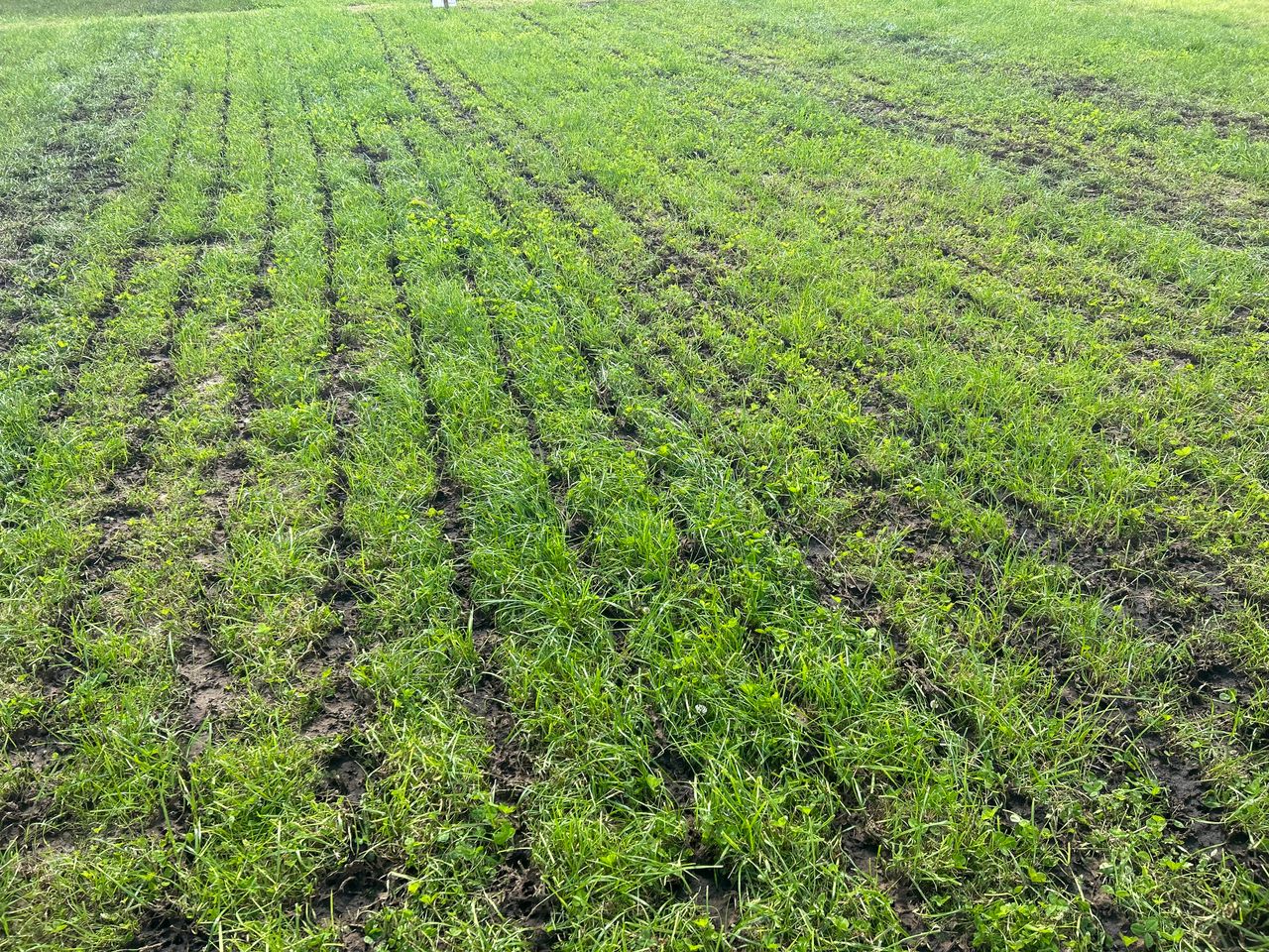 Testing slurry and understanding its value before spreading period