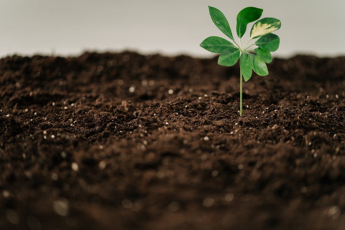 DAFM boosts climate related agri-research to €25m