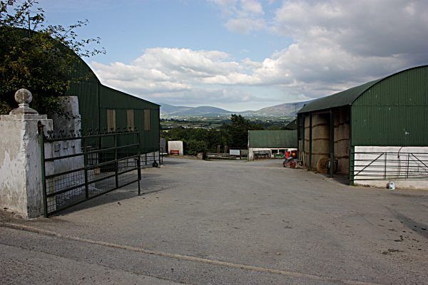 Is formal partnership needed for successful farm transfer?