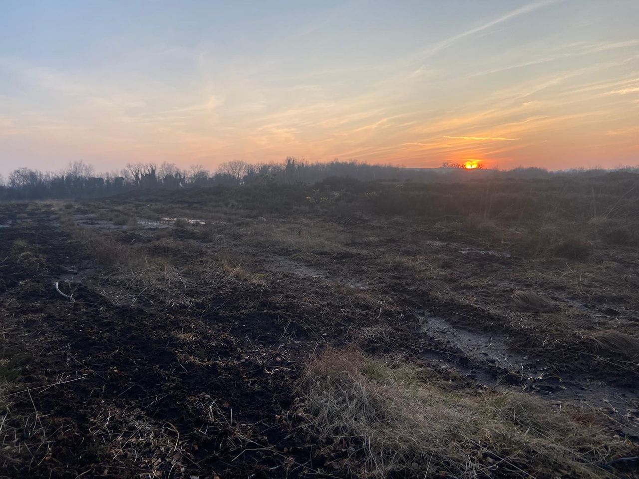 Noonan: Nature restoration plan 'must be inclusive' and ensure rewards