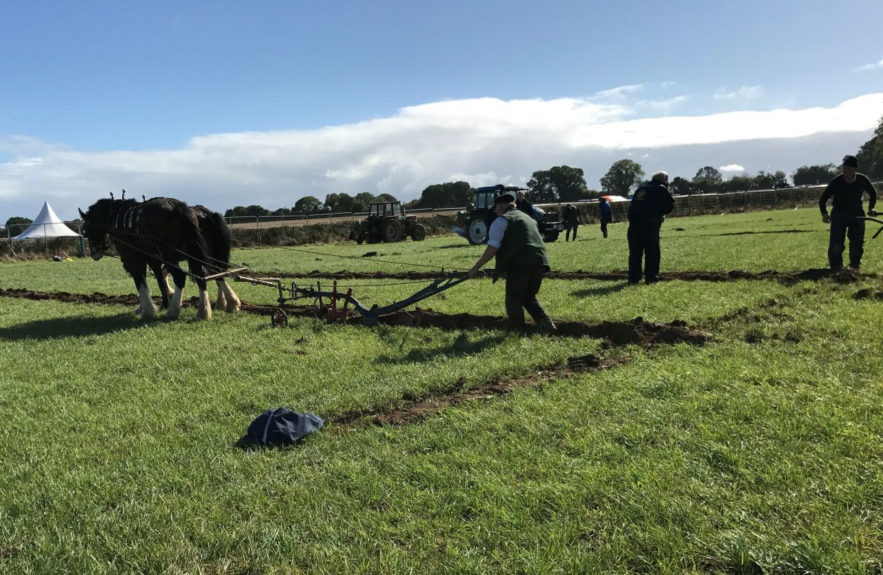 Ploughing competitions draw to a close...here's a look back