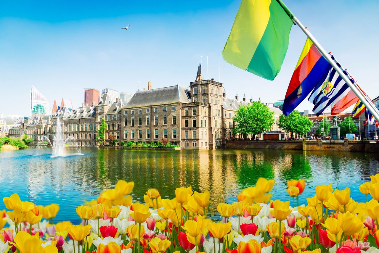 5,000kg of Brazilian beef with banned hormone was 'consumed' in Netherlands