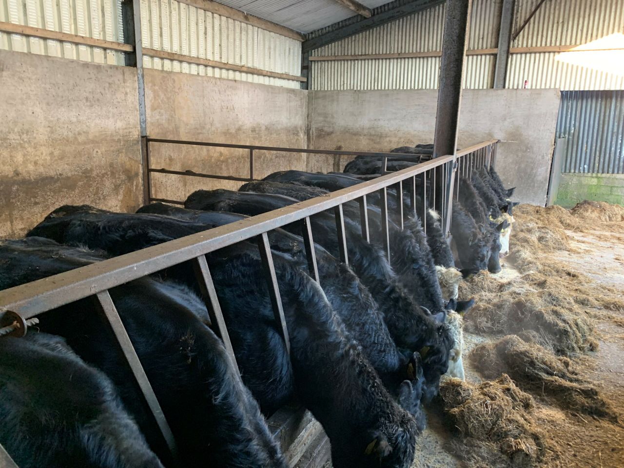 Advice on dealing with frozen drinkers in the cattle shed