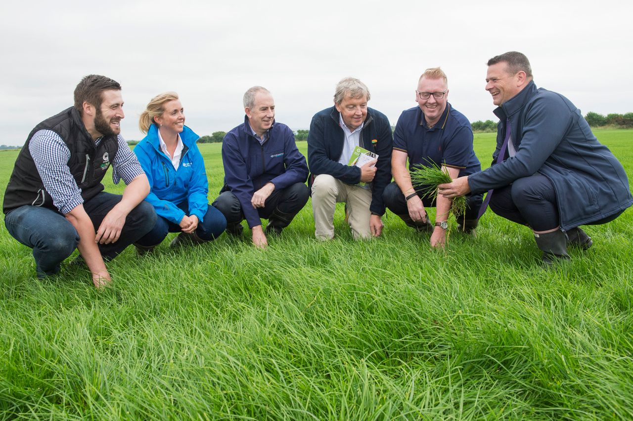 'Cheapest feed': Reseeding grass event draws the crowds in Cork