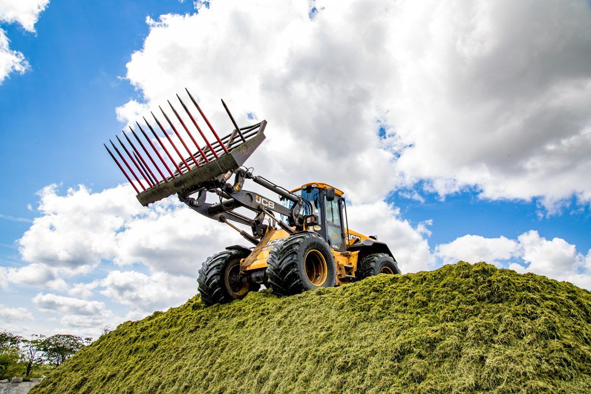 Video: Will this be the silage-cutting anthem of 2018?
