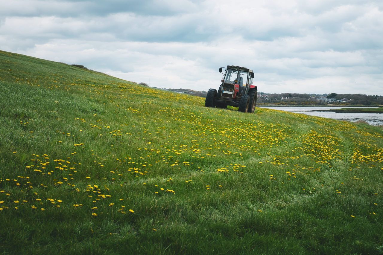 2025 a year of 'unprecedented challenges' for farming in NI