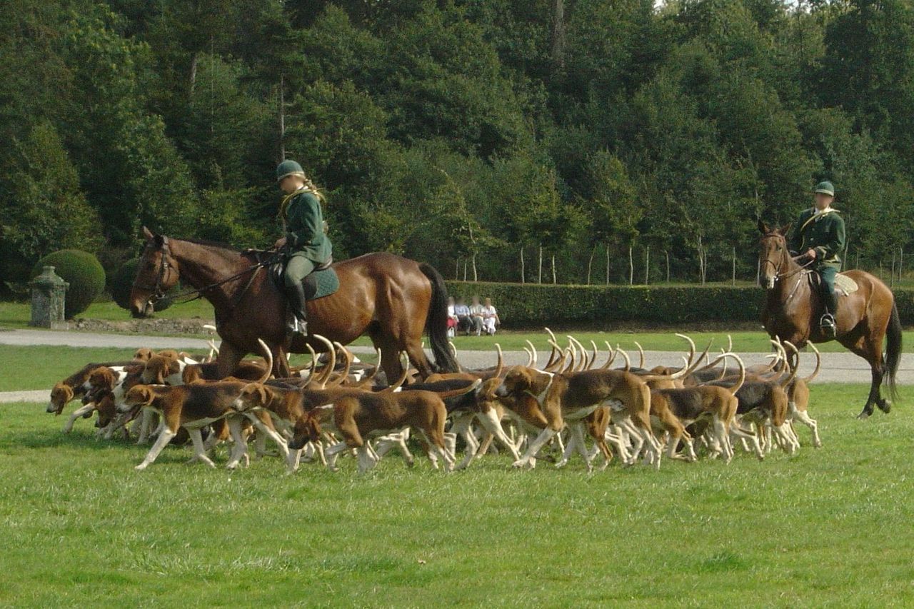 Woman dies in hunting accident in Tipperary