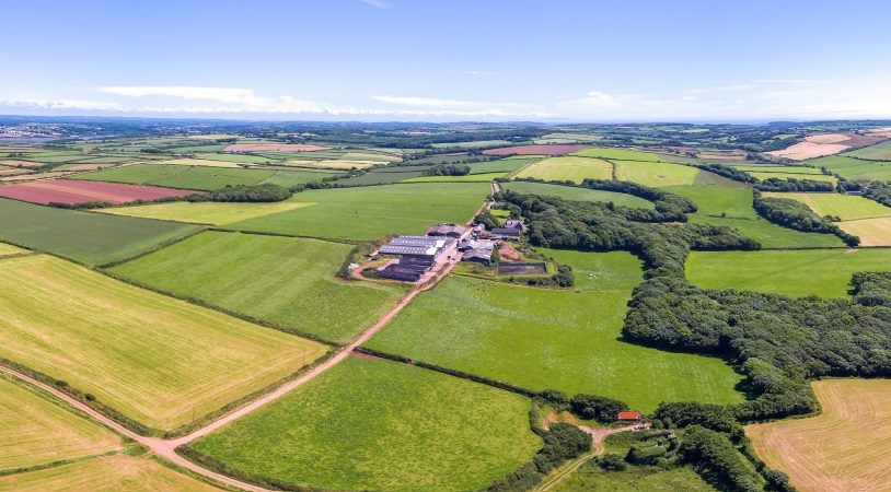 Two massive UK dairy farms covering 1,300 acres hit the market for €11.6m