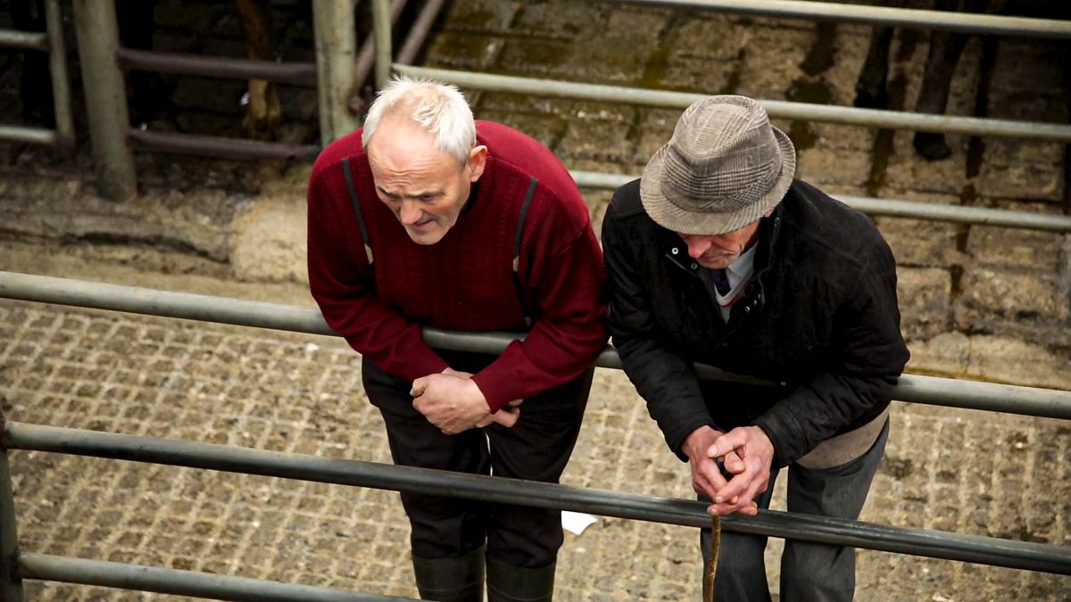 'Essential and vulnerable' - farmers 'do not have the luxury of isolation'