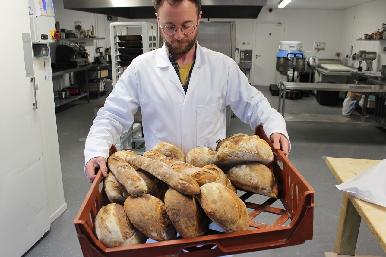 Irish start-up Niskus Biotec to receive early investment of $200,000