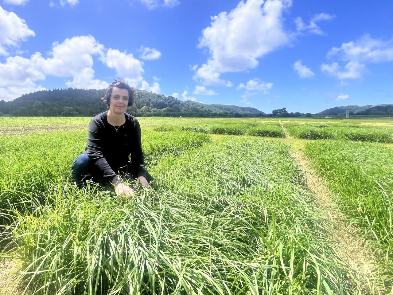 Dr. Kerrie Farrar, Germinal