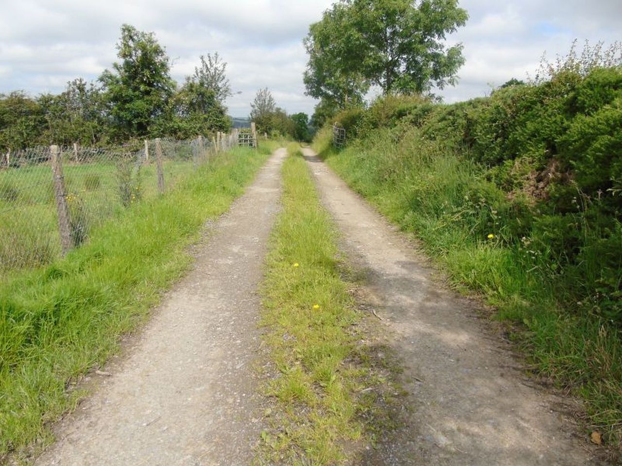 Humphreys announces €40 million to upgrade rural laneways