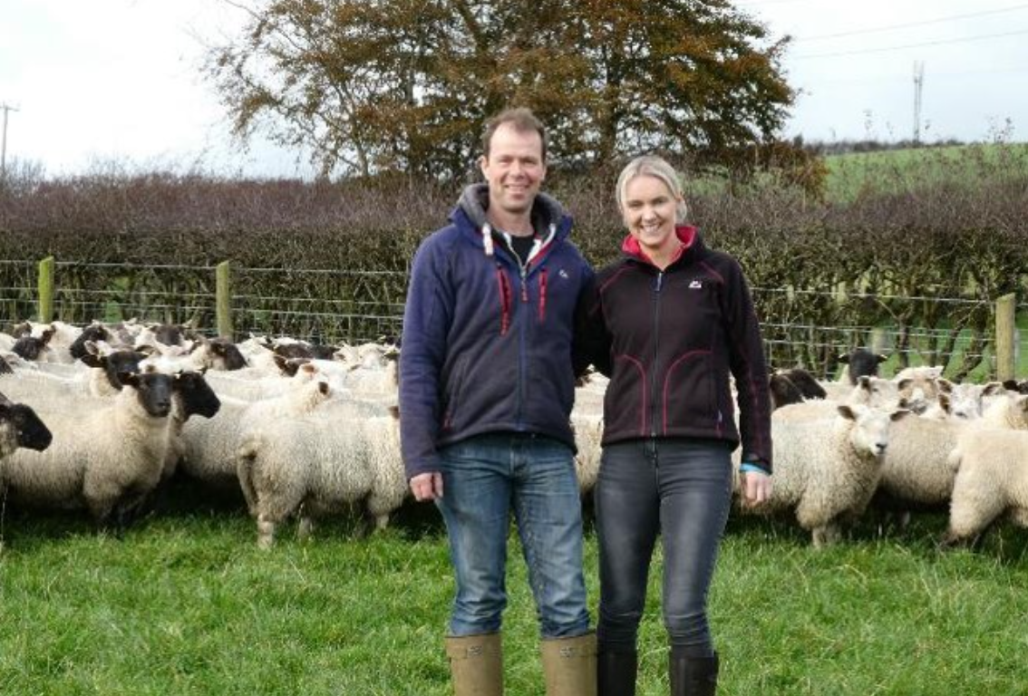 Fancy becoming one of NI's new Sheep Technology Demonstration Farms?