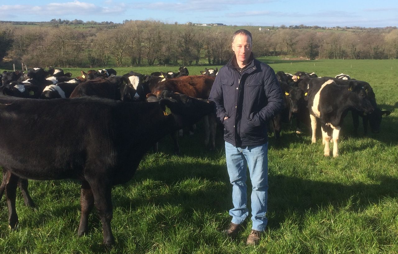 How this Co. Cork dairy farmer serves heifers the easy way