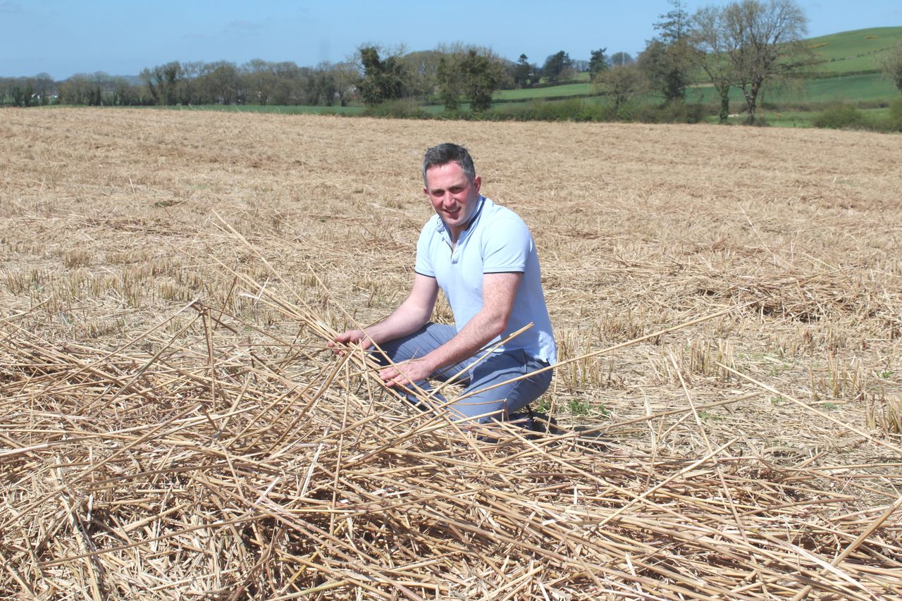 Watch: Miscanthus harvest on Meath tillage farm