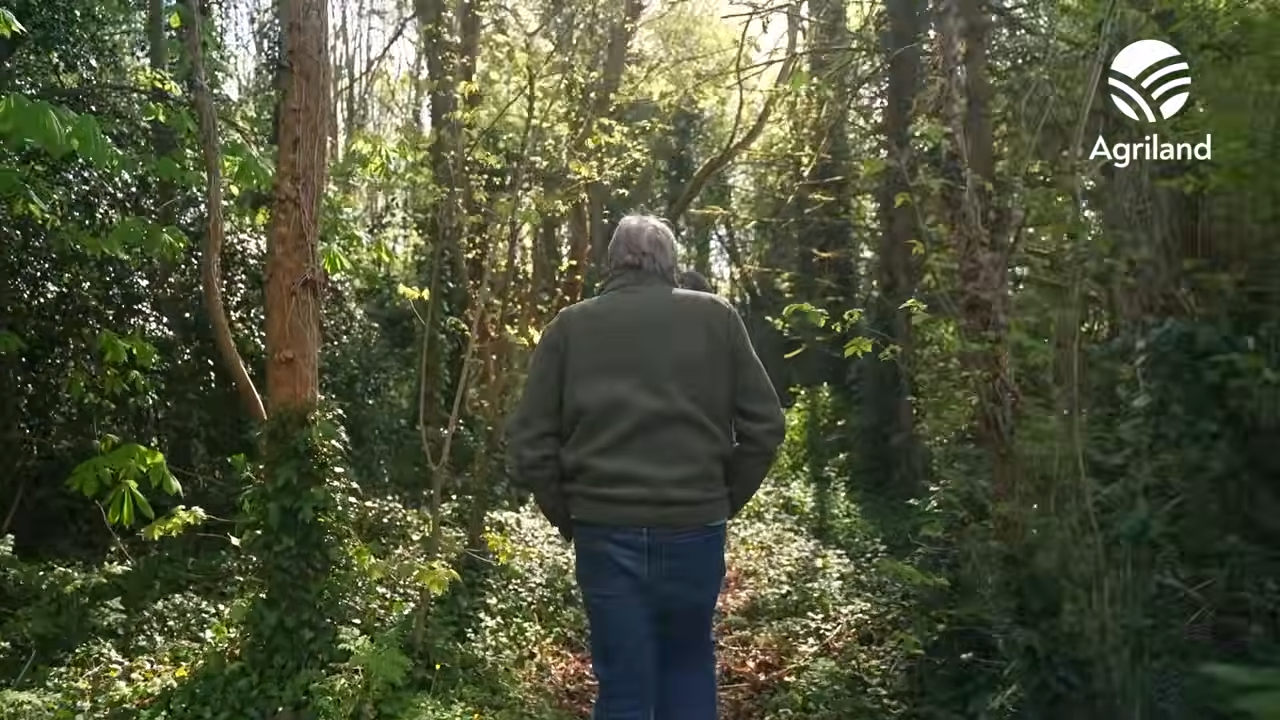 The dairy farmer who’s moving into forestry