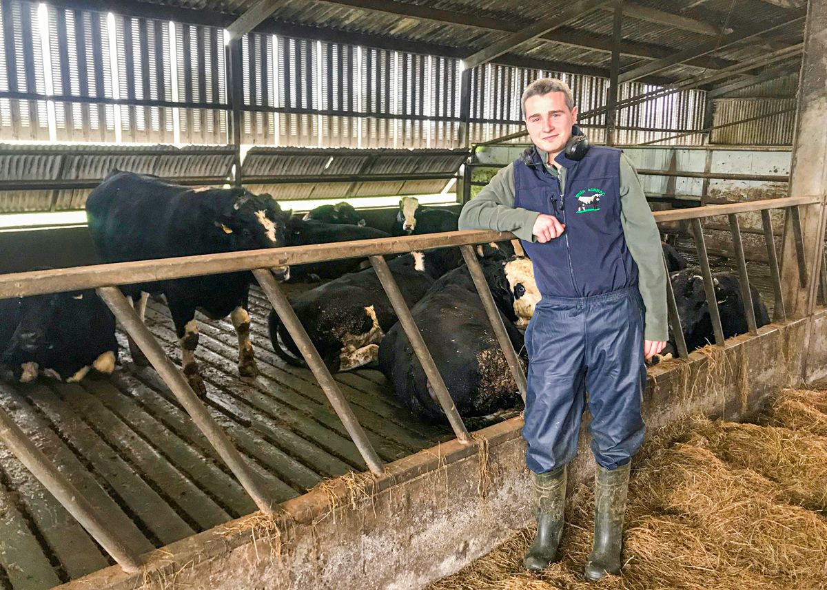 Beef focus: Running a dairy and a 100-head finishing operation in Co. Waterford