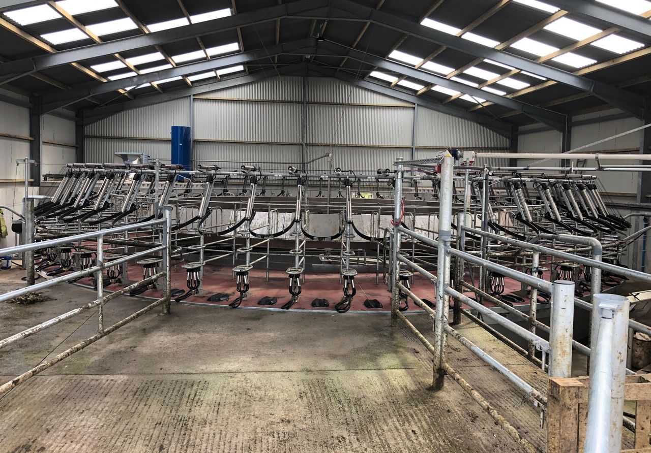 Domestic milk intake up 10% in 2019