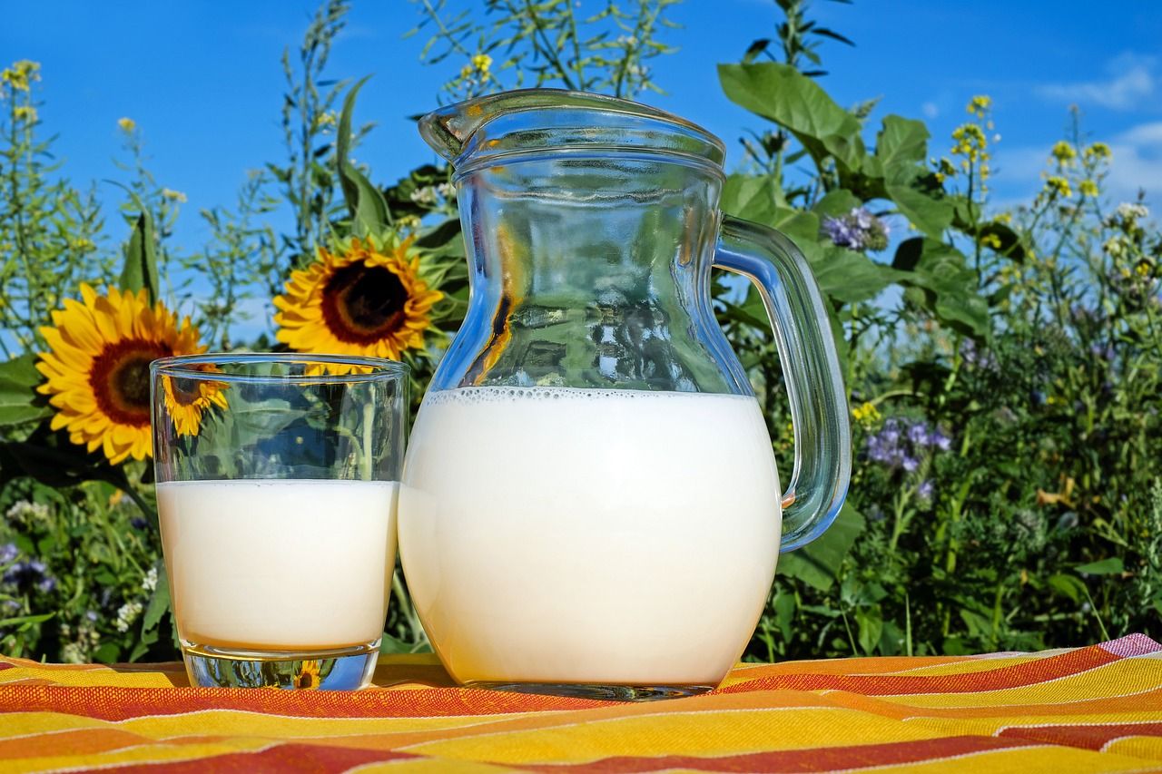 2024 will see dairy companies make sustainable changes