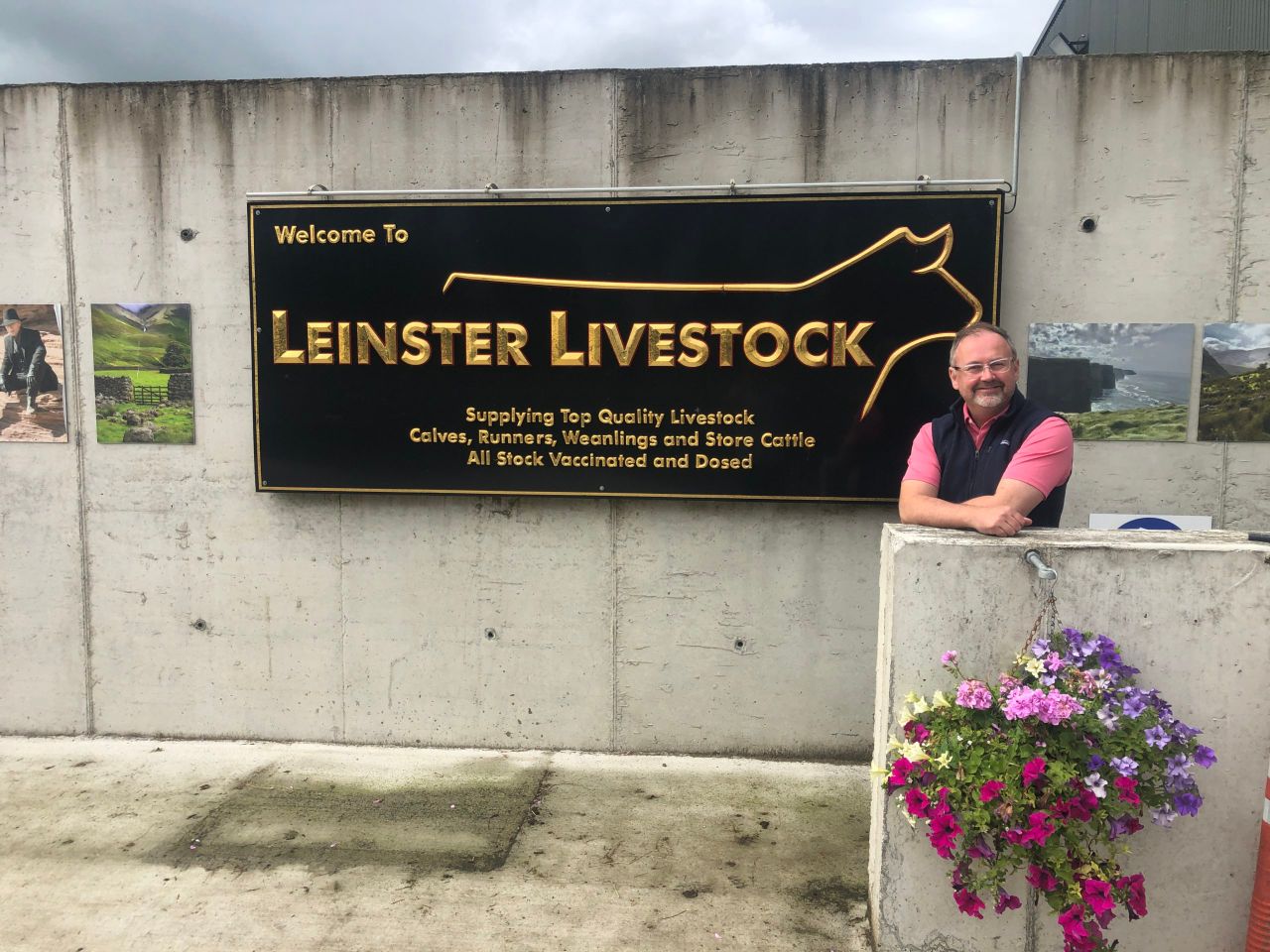‘State of the art’ cattle dealer’s yard - Leinster Livestock