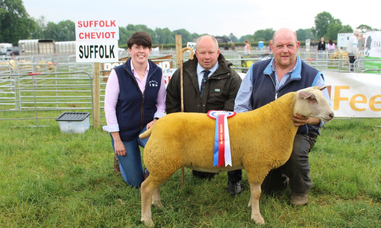 Charollais ewe lamb carries the day at Ballymena Show 2023