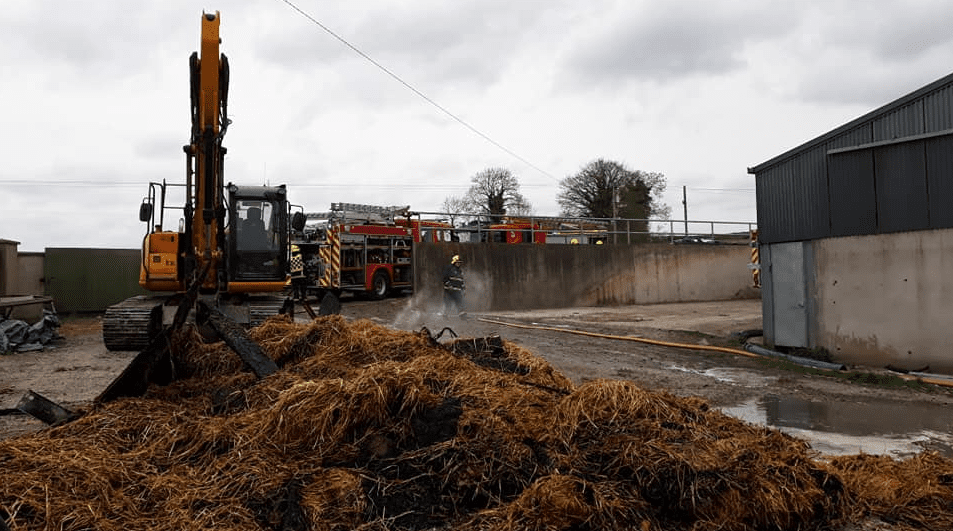 Livestock killed in border farm blaze