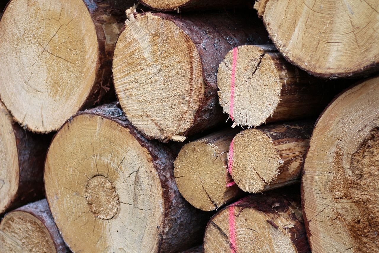 Over 25,000t of logs imported  from Scotland so far in 2024