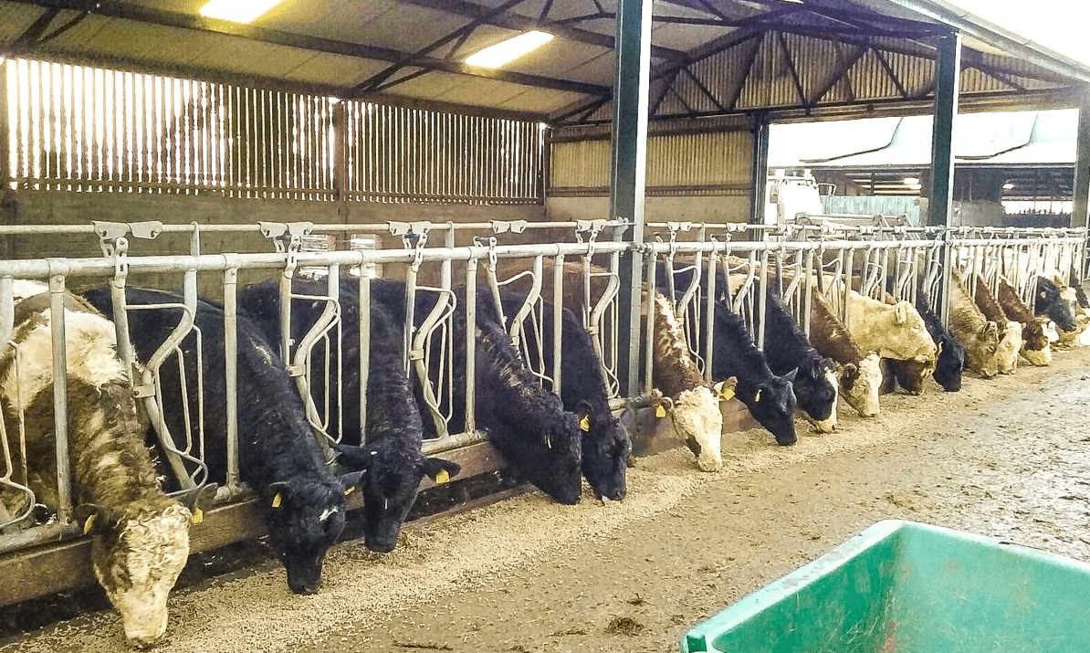 Farmers urged to work with co-ops in tackling Covid-19