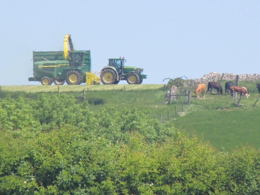 Sustainable Irish farming photo comp - give it your best 'shot'