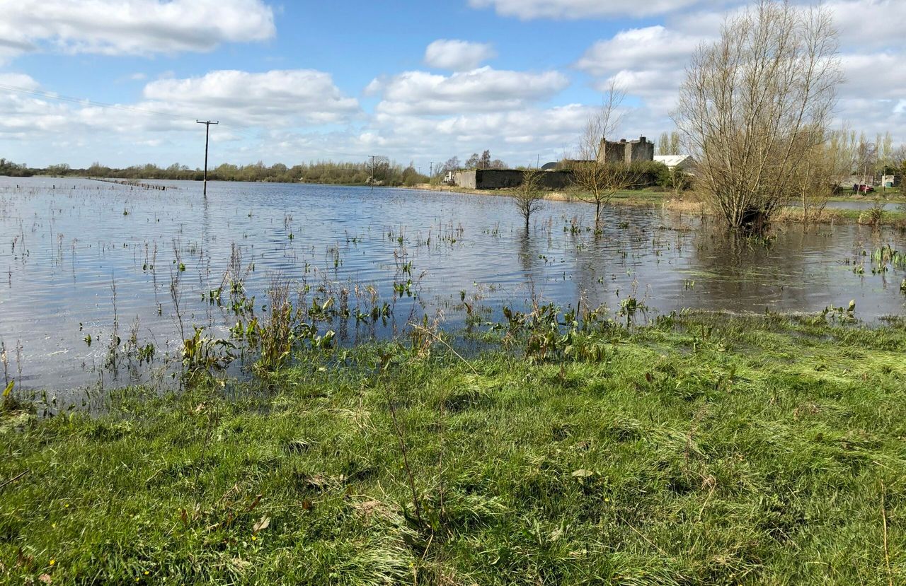 DAFM has 'questions to answer' on Shannon callows scheme - SF