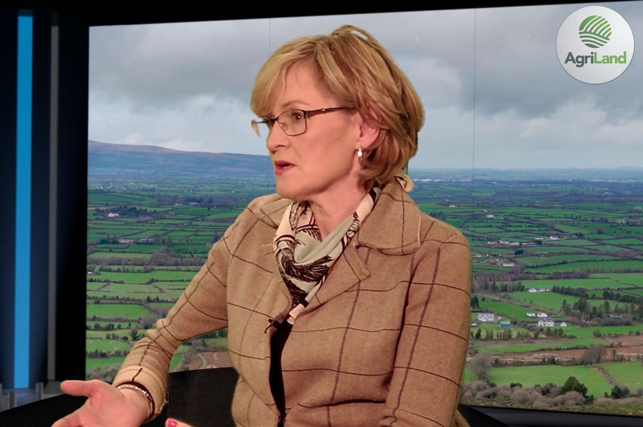 'McGuinness will bring strong and credible voice on agriculture' - IFA