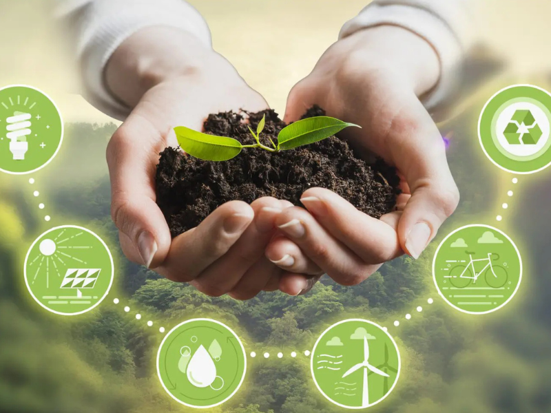 MTU launches rural bioeconomy webinar series