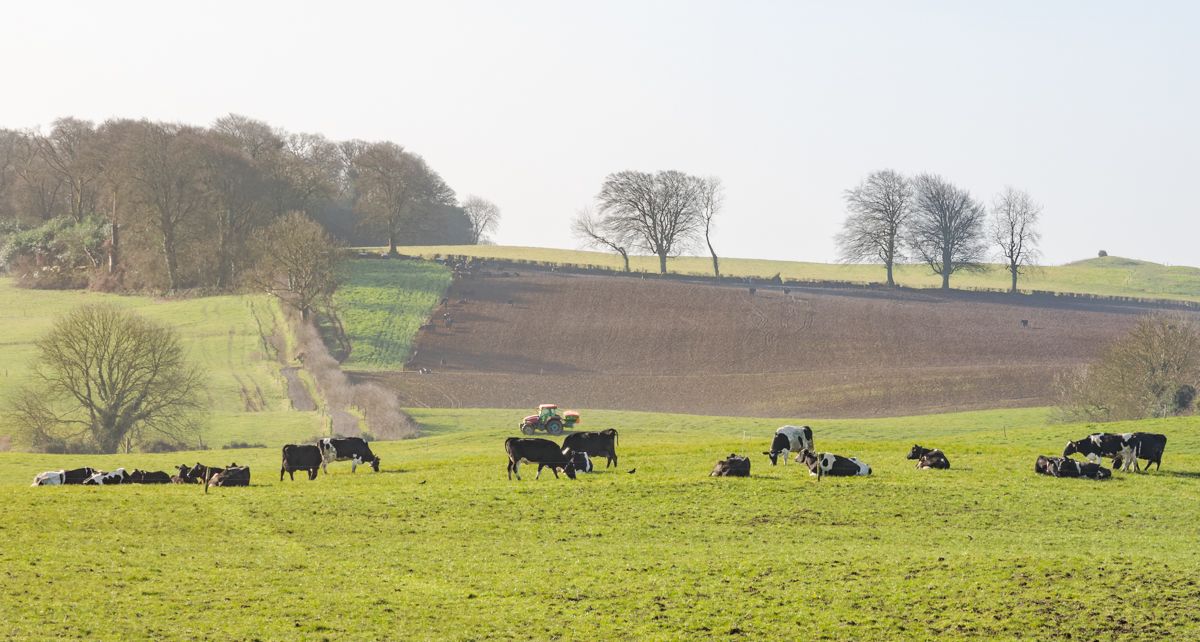 Ifac Farm Report: 75% of farmers 'deeply concerned' over inputs