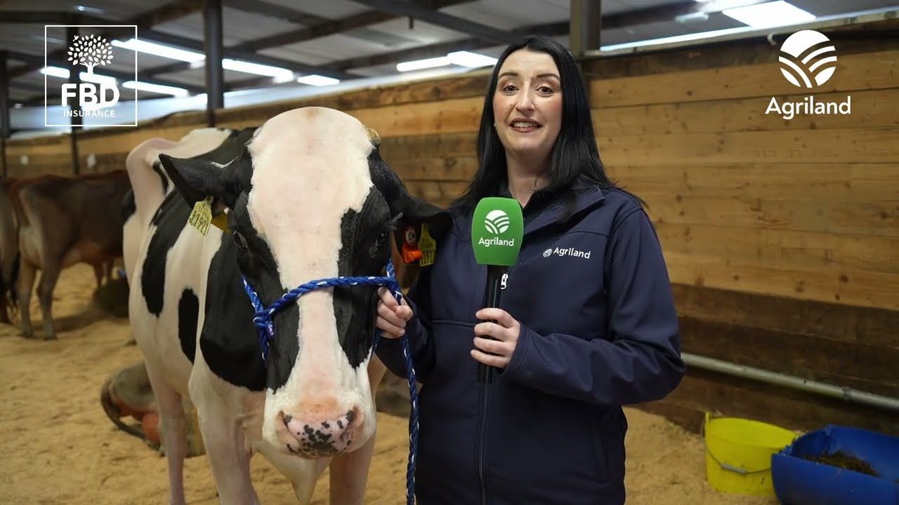 What to expect at the FBD National Dairy Show 2026