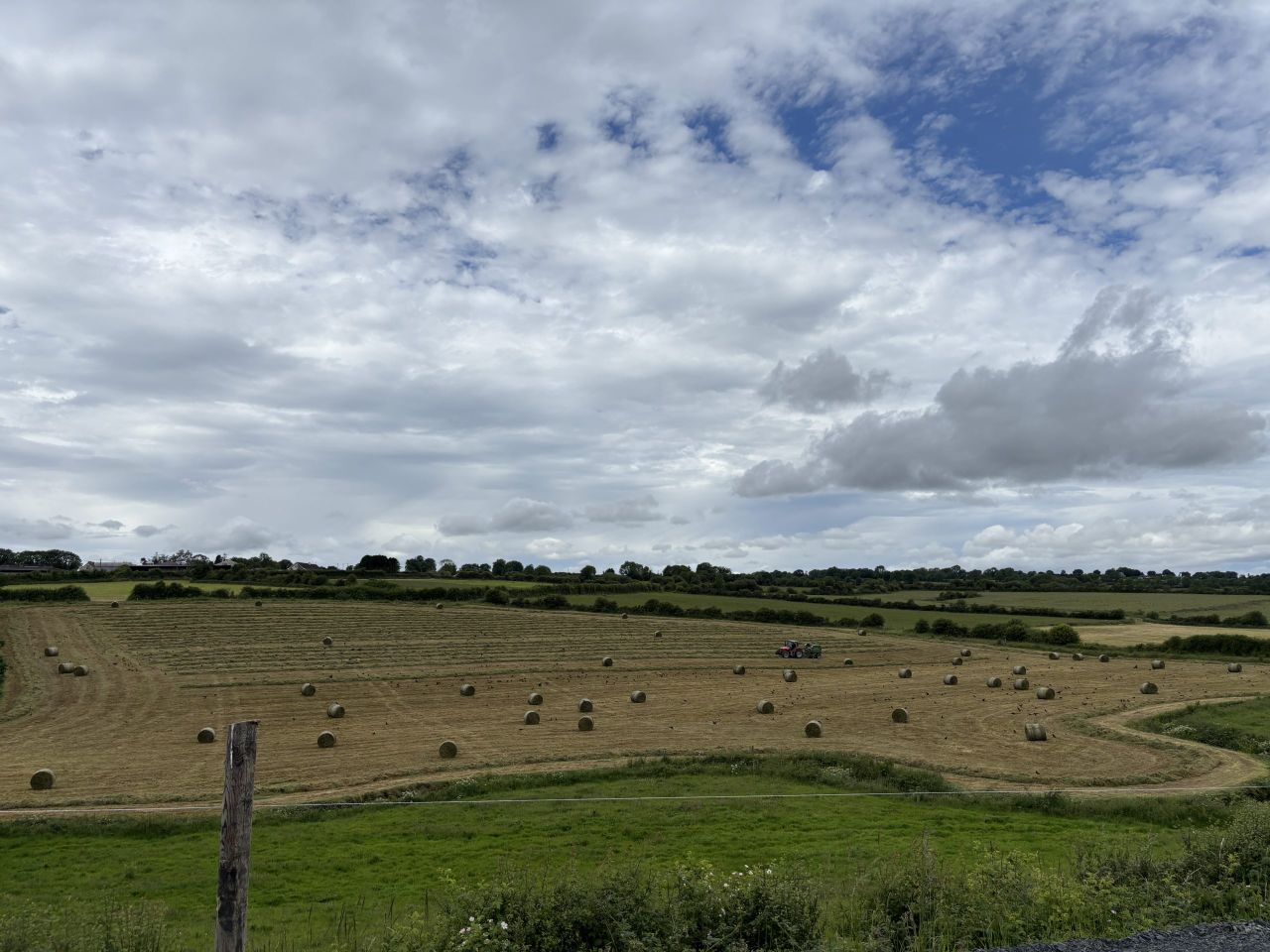 Where is grass growth sitting after the heatwave?