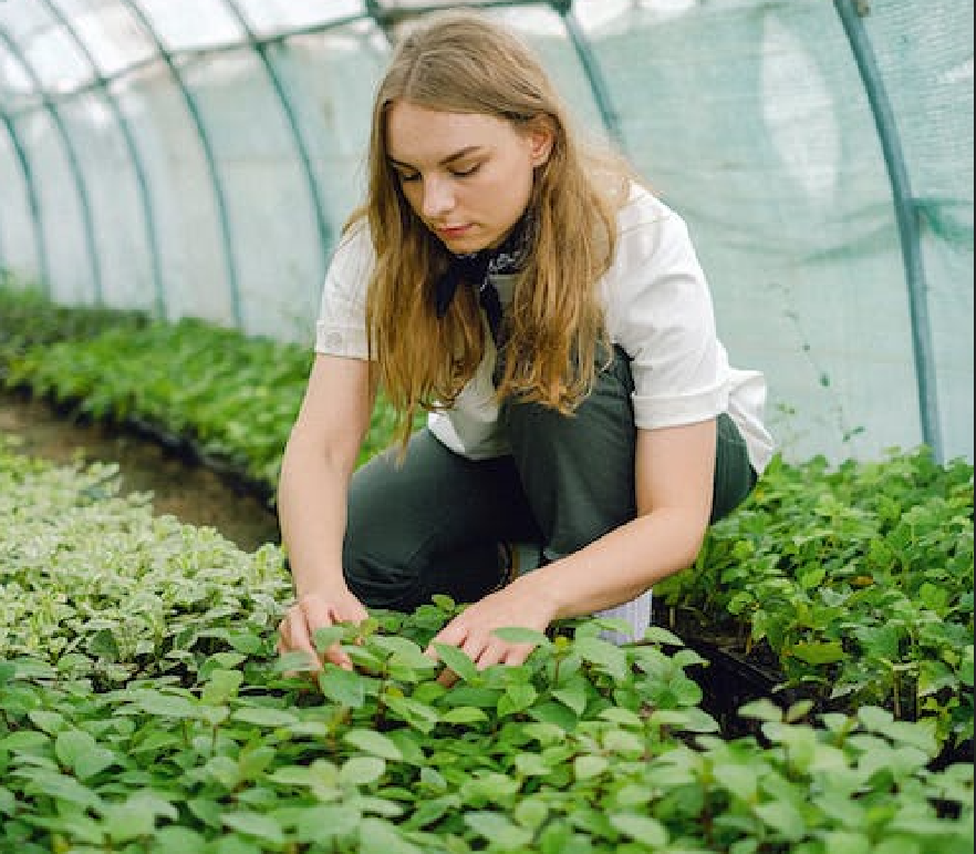 Seasonal agricultural workers 'critical' - Boyhan