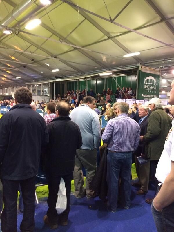 Hanley totally upbeat regarding the future for Irish dairy