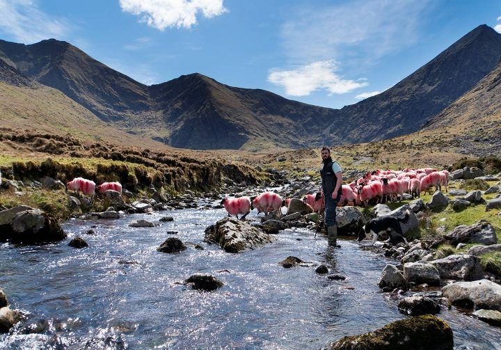'There will be very few hill farmers in years to come'