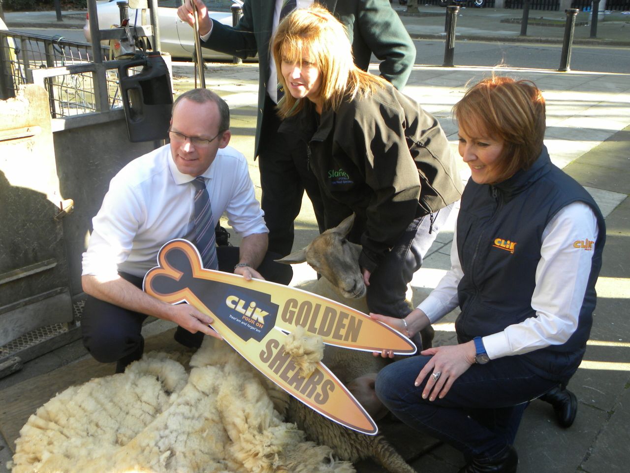 International teams signed up for sheep shearing