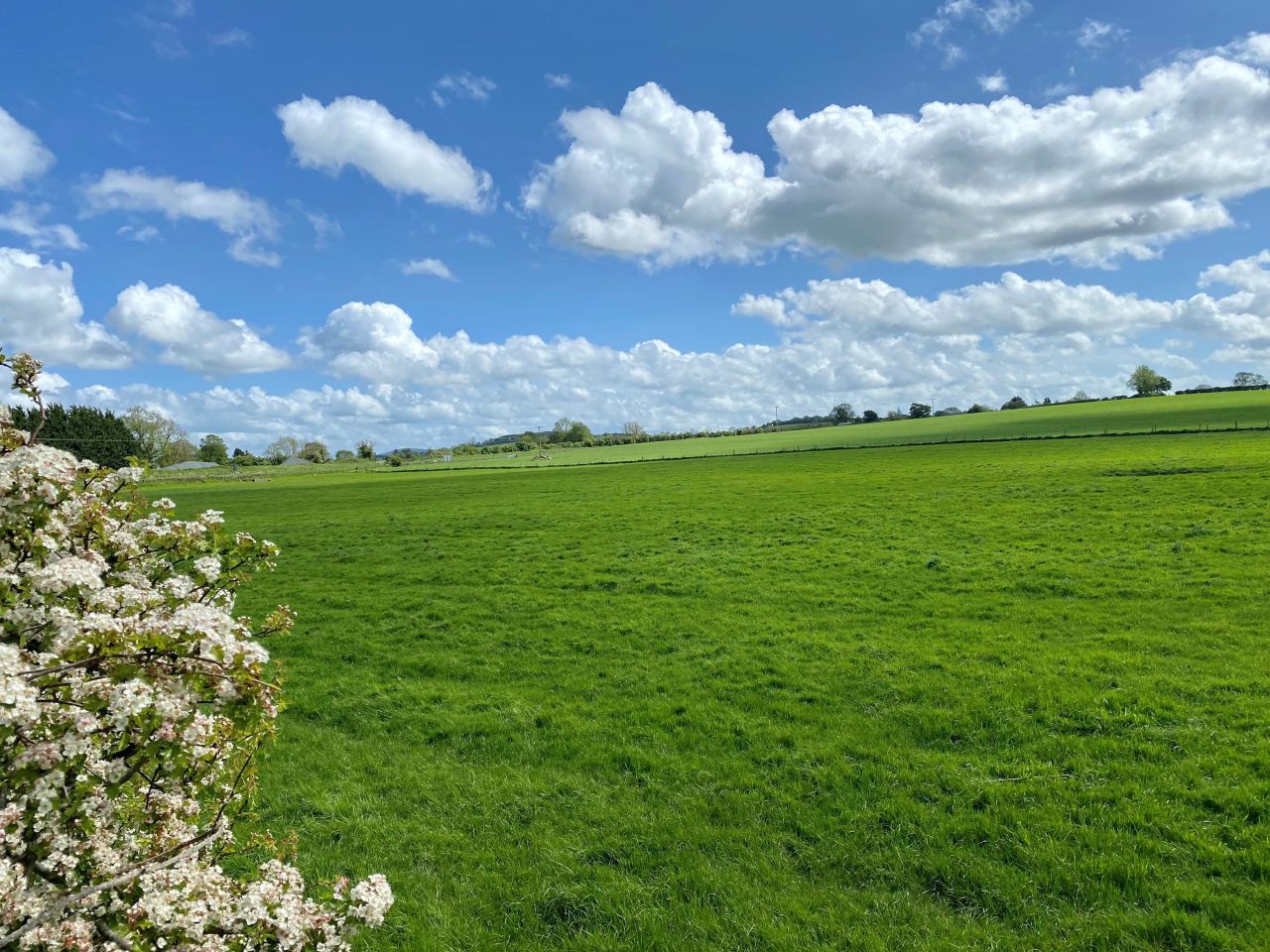 Over 220ac of south Kildare lands set for auction