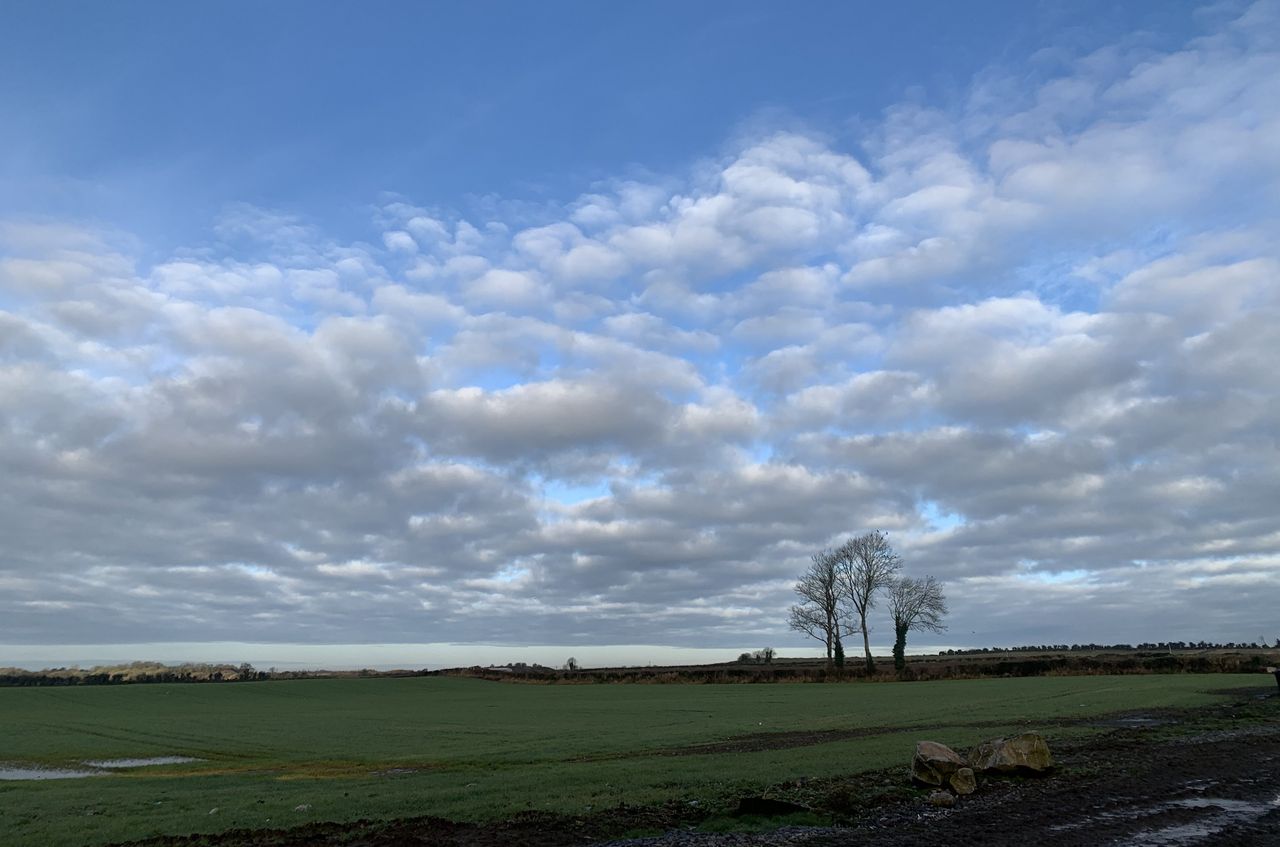 Weather: Drier conditions this week with some light rain