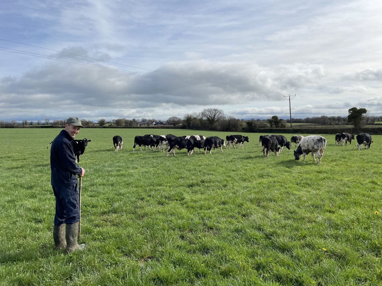 Producing 513kg milk solids and R grade steers in Kilkenny