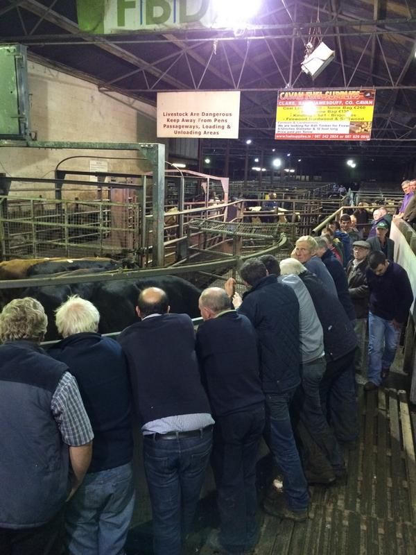 Sale of major livestock mart edges closer