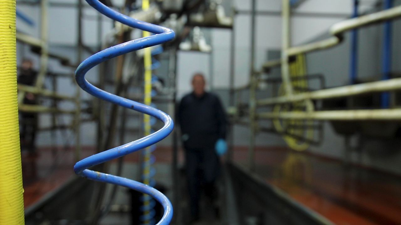 GDT index takes 4.7% tumble in latest trading event
