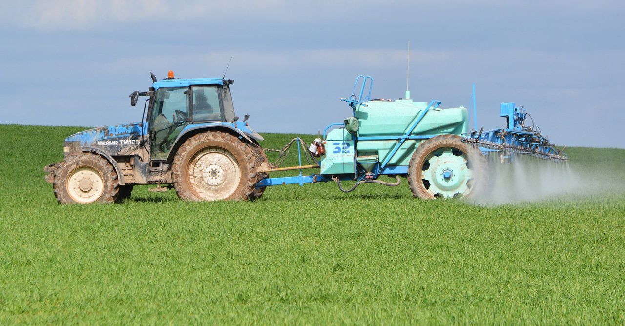 Tillage management: How can you control BYDV and aphids?