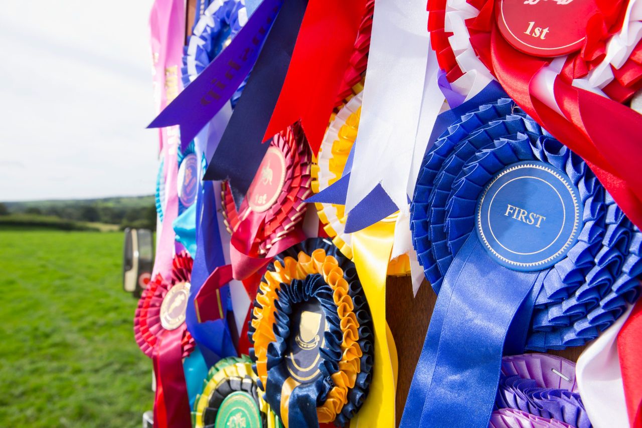 ISA issues bluetongue update ahead of upcoming show season
