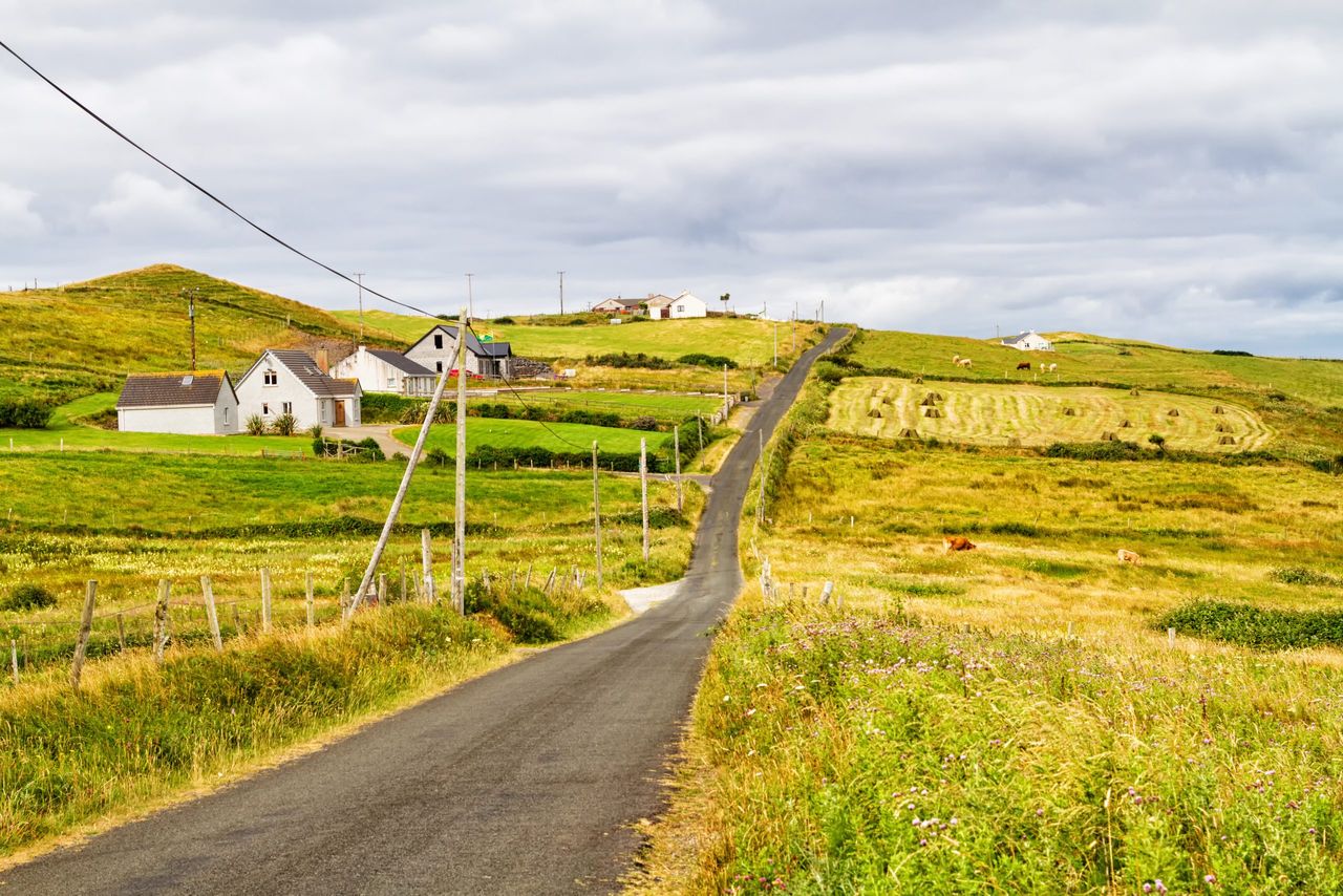 Irish MEPs back GAA leadership on rural depopulation