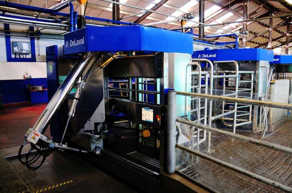 DeLaval milking robots installed to milk 4,500 cows in Chile