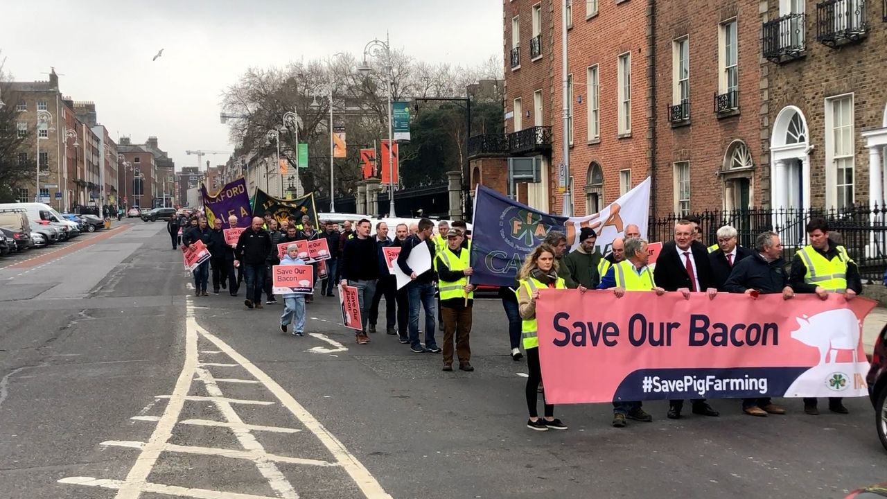 Agriland covers IFA pig protest at government buildings
