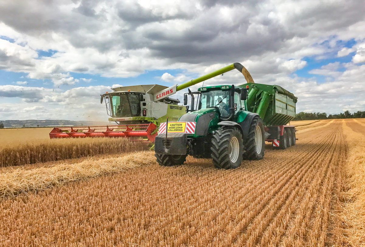 Watch: Harvesting gluten-free oats in Co. Carlow